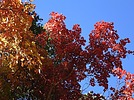 photo thumbnail #15