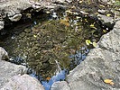 Featured Detail Photo