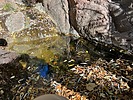 Featured Full Photo