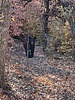 2023-11-04 :1: High Creek - E Divide - Corral - Rattlesnake :: jacobemerick