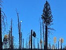 photo thumbnail #3