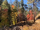 photo thumbnail #8