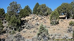 photo thumbnail #7
