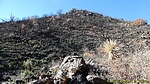photo thumbnail #13