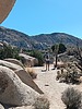 photo thumbnail #2