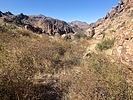 photo thumbnail #3