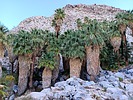 photo thumbnail #15