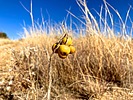 photo thumbnail #13