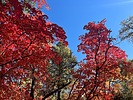 photo thumbnail #4