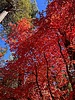 photo thumbnail #15