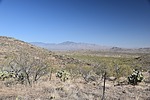 photo thumbnail #3