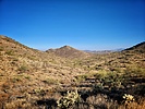 photo thumbnail #4