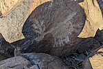 photo thumbnail #5