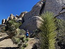 photo thumbnail #5