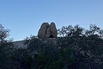 photo thumbnail #12