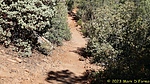 photo thumbnail #14