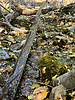 Featured Detail Photo