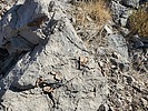 Featured Detail Photo