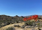 photo thumbnail #11