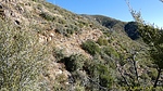 photo thumbnail #10