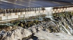 2023-11-10 :: Horseshoe Dam - Ister Flats :: topohiker
