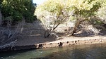 photo thumbnail #13