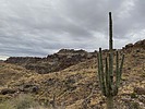 photo thumbnail #6