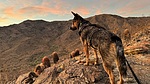 photo thumbnail #4