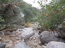 photo thumbnail #6