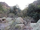 photo thumbnail #9