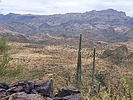 2023-11-16 :3: Hackberry Spring and Mesa :: DixieFlyer