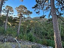 photo thumbnail #12