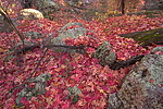 photo thumbnail #8