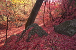 photo thumbnail #14