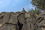 photo thumbnail #7