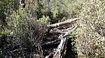 photo thumbnail #13