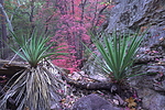 photo thumbnail #3