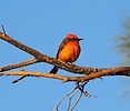 2023-11-21 :2: Chaparral Park - Scottsdale :: rrshort