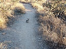 photo thumbnail #1