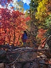 photo thumbnail #5