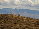 photo thumbnail #8