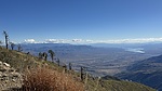 photo thumbnail #8