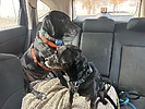 photo thumbnail #1