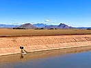 2023-11-20 :1: Maricopa Trail - Scottsdale/Granite Reef/Mesa :: kingsnake