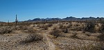 photo thumbnail #3