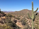 photo thumbnail #4