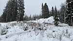 photo thumbnail #3