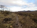 photo thumbnail #4
