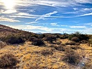 photo thumbnail #4