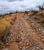 photo thumbnail #9
